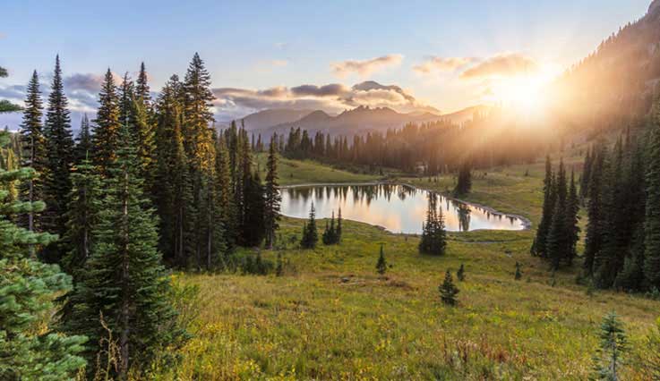 Washington state