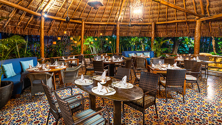 Restaurant Cocina 