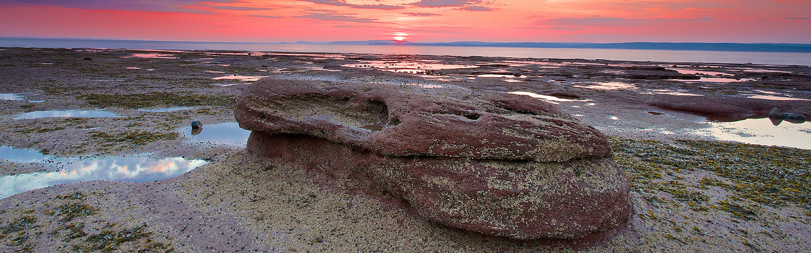 New Brunswick
