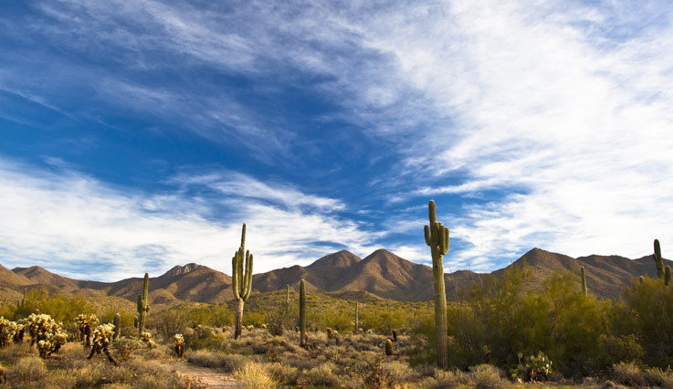 Arizona landscape